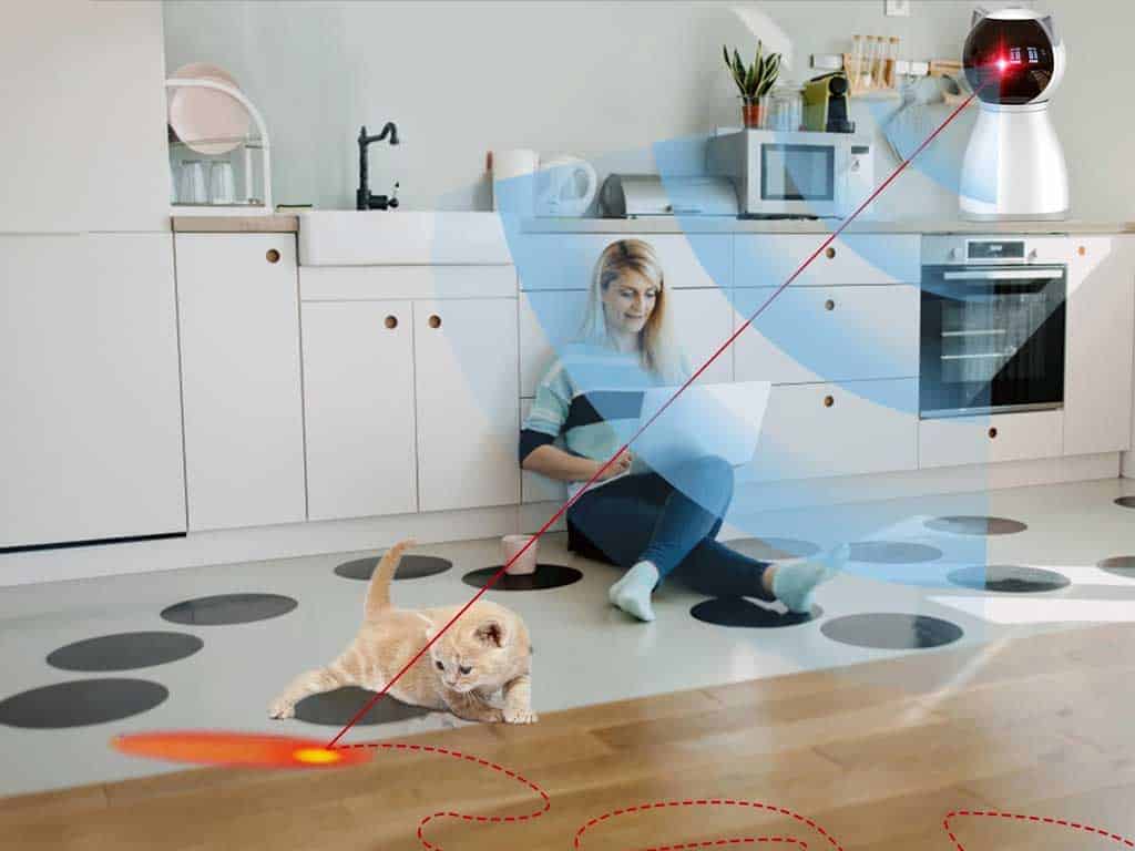 Automatic Laser Cat Toy – 7 Reasons PetSafe Bolt Is Best