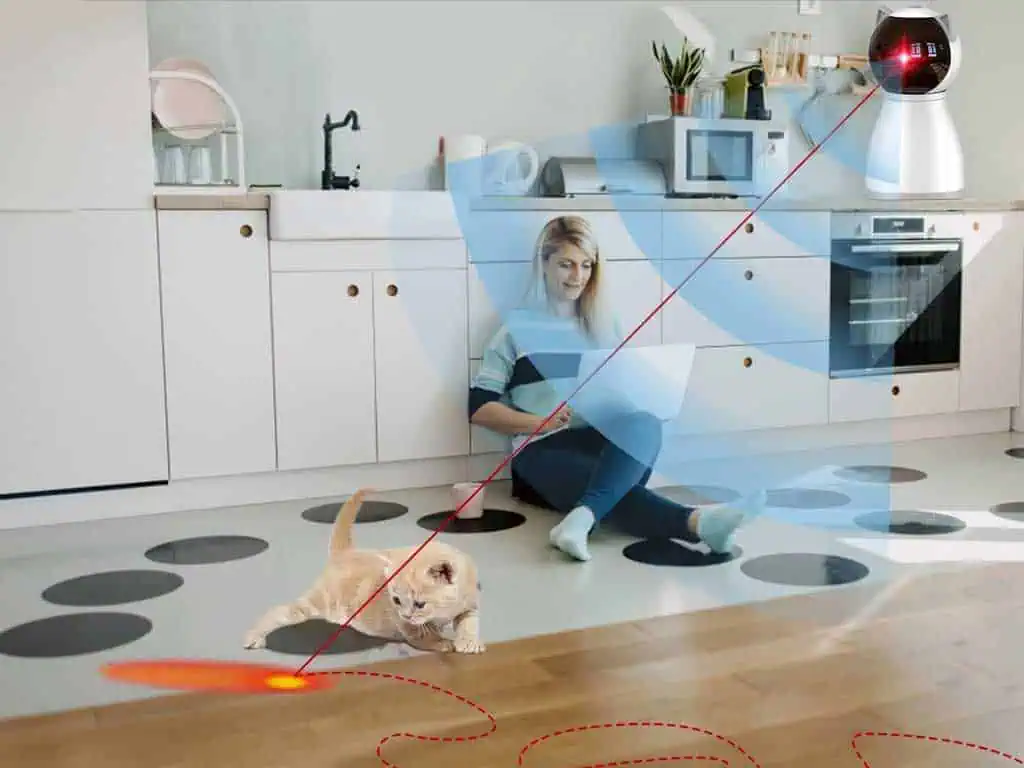 Automatic Laser Cat Toy – 7 Reasons PetSafe Bolt Is Best