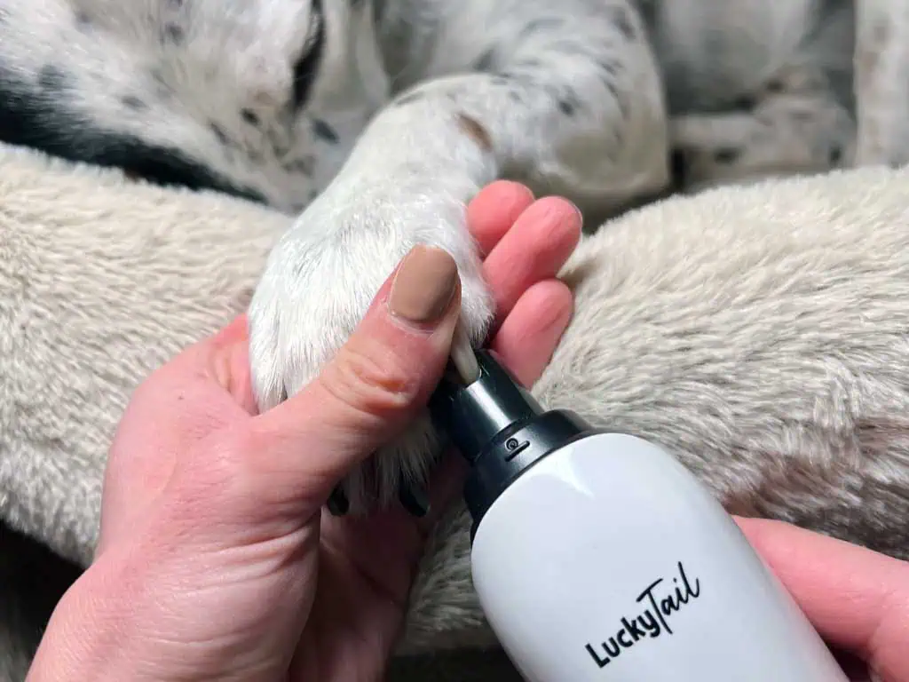 Dog Nail Grinder LuckyTail – 7 Benefits for Easy Grooming