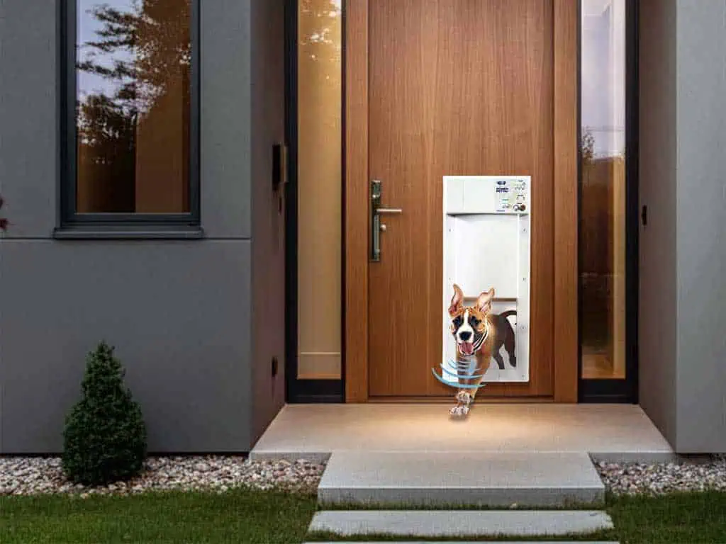 High Tech Pet Door – Automatic WiFi and Ultrasonic Collar
