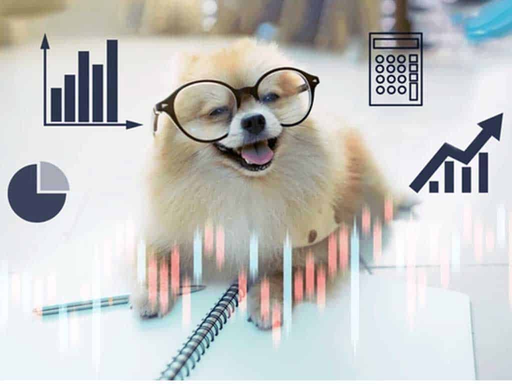 Pet Data and Pet Ownership in the USA 2025 – Amazing Insight
