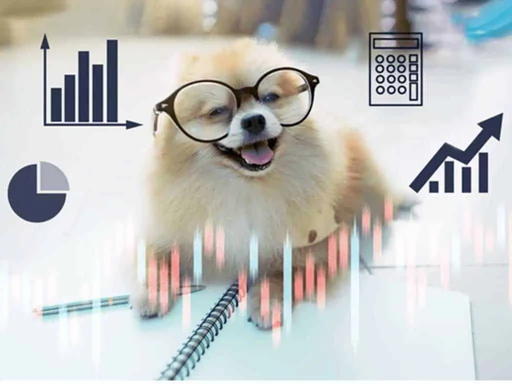 Pet Data and Pet Ownership in the USA 2025 – Amazing Insight