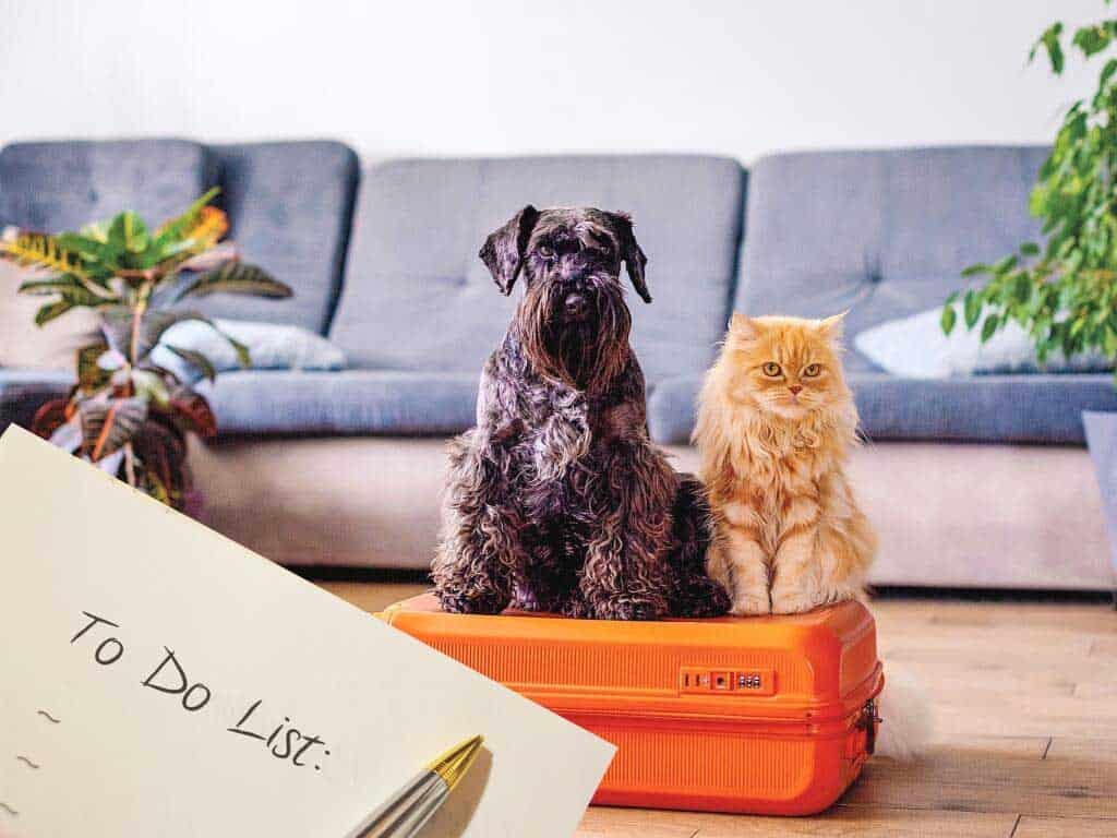 Pet Travel Checklist: Essentials for Stress-Free Trips