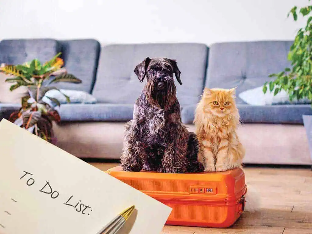 Dogs and cats on an orange suitcase in a living room.