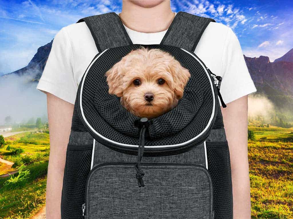 PetAmi Pet Carrier Backpack 9 Amazing Benefits for Travel
