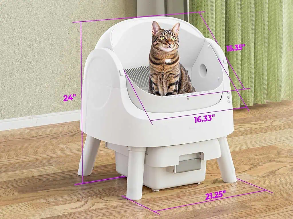 Smart Cat Litter Box 7 Powerful Reasons Cats and Owners Love It