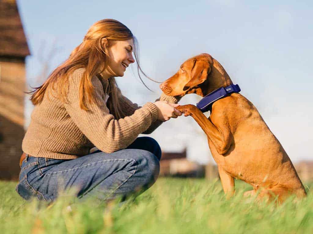 Tractive GPS Dog Tracker – 7 Best Features Reviewed