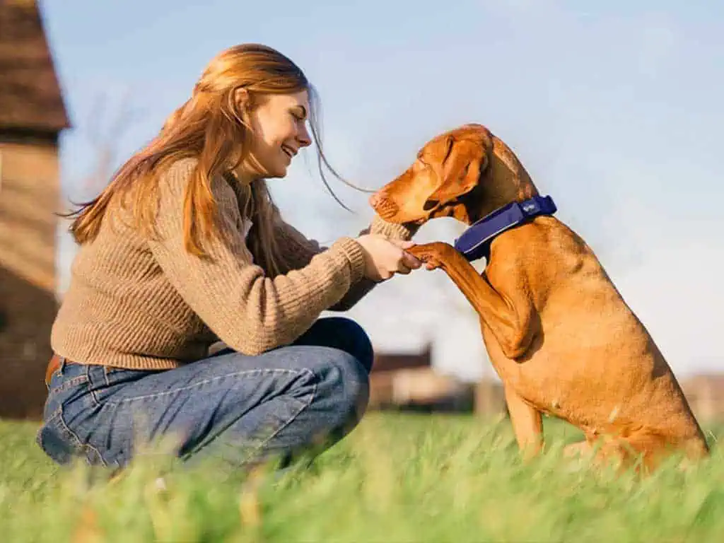 Tractive GPS Dog Tracker – 7 Best Features Reviewed