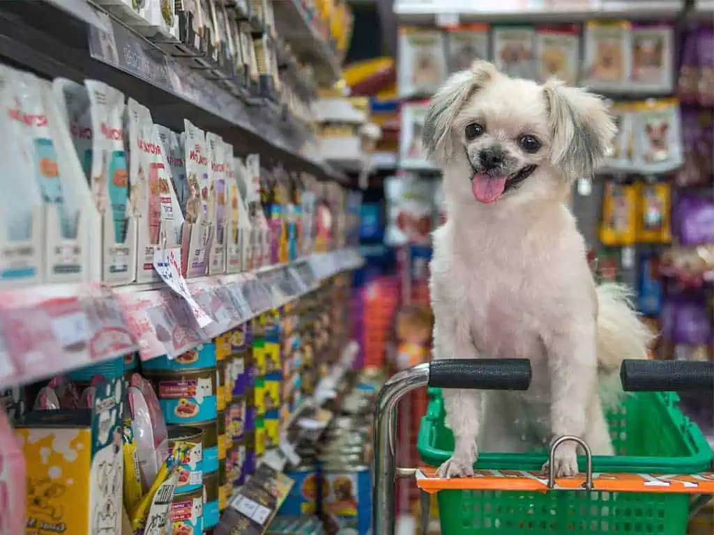7 Ways How to Save Money on Groceries When You Have Pets