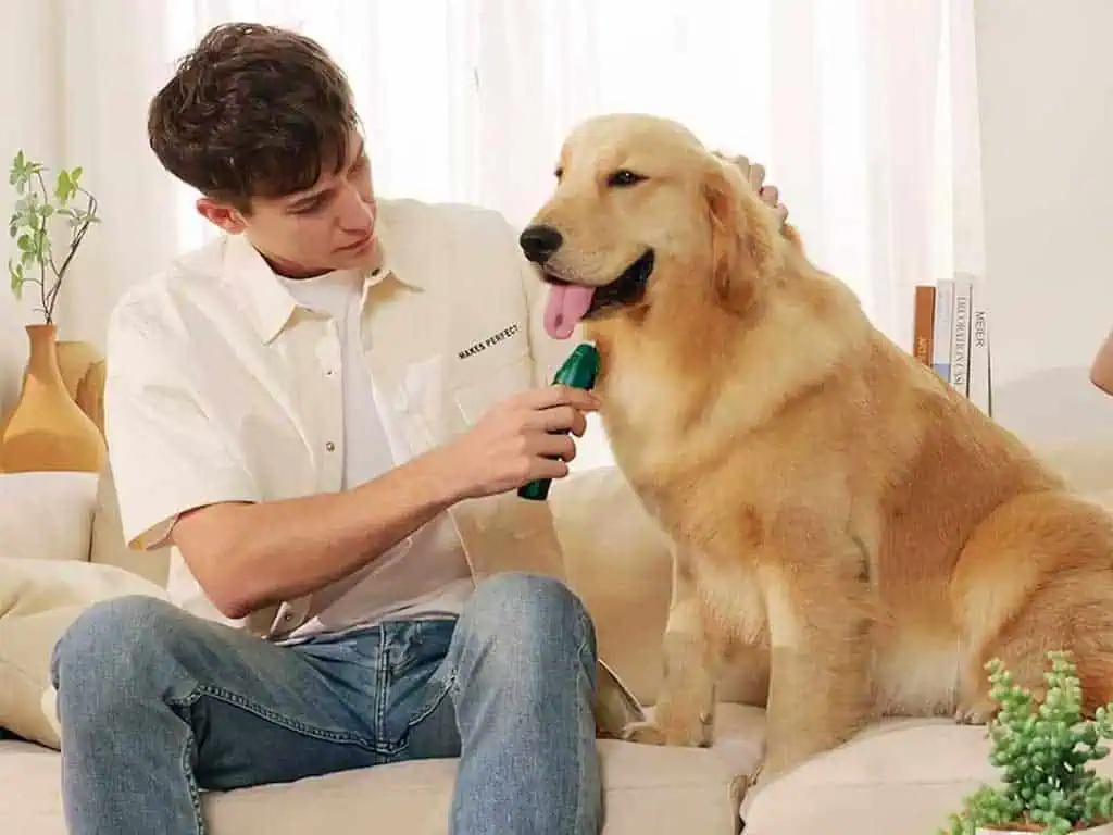 Can You Use Human Clippers on Dogs? 7 Critical Facts