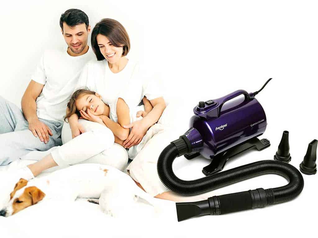 Dog Hair Dryer Shernbao – 7 Pro Reasons Groomers Love It