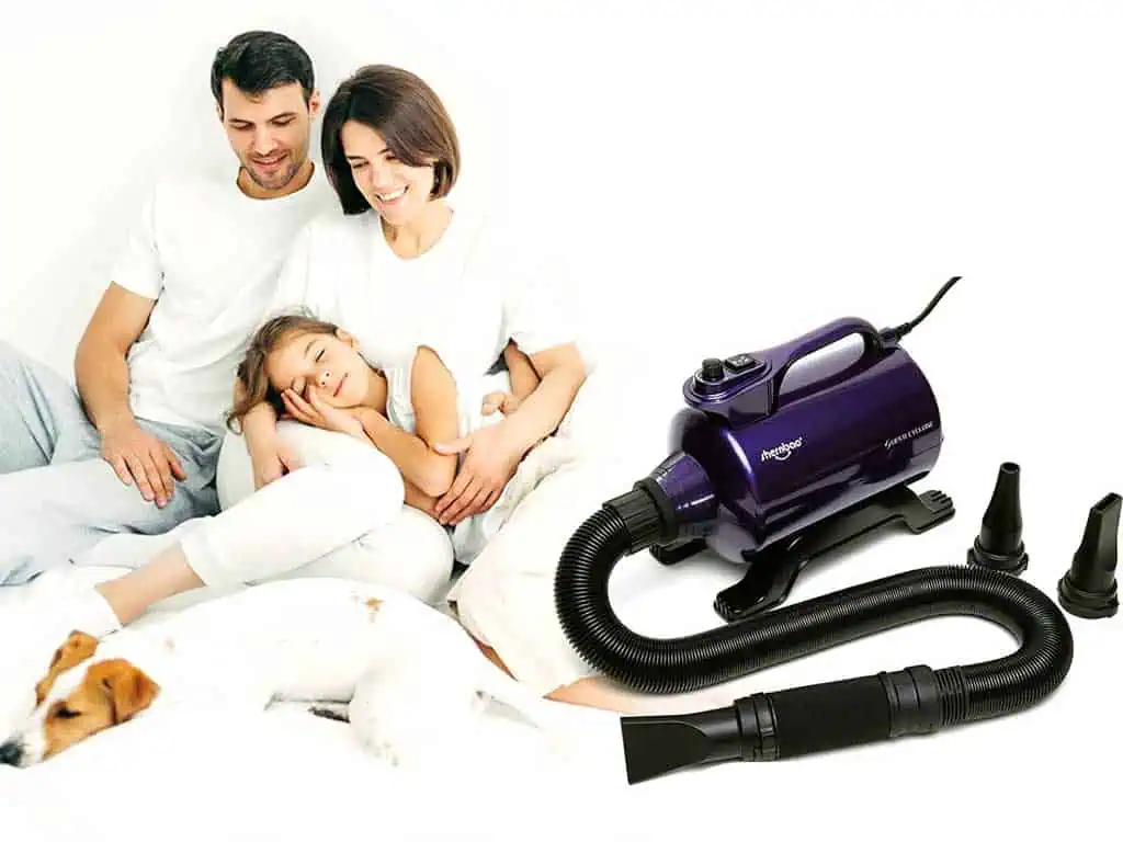 Dog Hair Dryer Shernbao – 7 Pro Reasons Groomers Love It