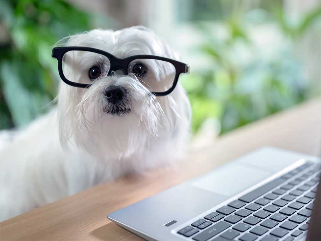 Pet Technology 2025: 21 Powerful Ways It Transforms Care