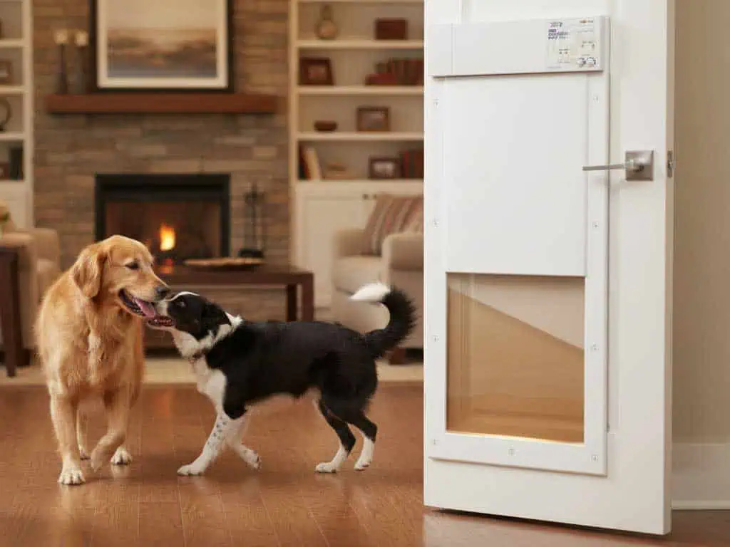 XL Dog Door – 7 Smart Reasons Large Dogs Love It