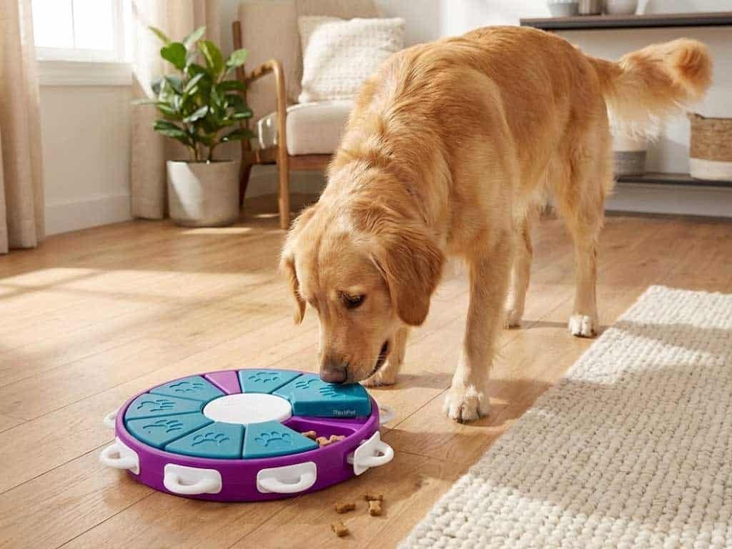 Interactive Dog Toys Nina Ottosson – 7 Amazing Picks
